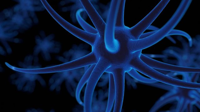 Neuronen Gehirn Alzheimer Signale Kommunikation