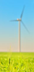 Wind turbines in a wheat field