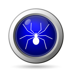 Spider icon