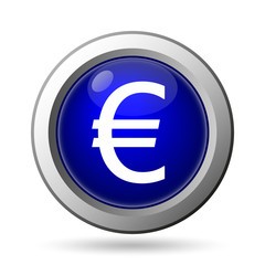Euro icon
