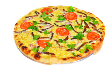 Delicious Italian pizza