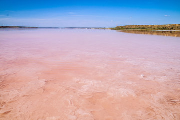 amazing pink lake