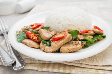 Basil fried with chicken and rice (Pad kra prao kai), Thai food