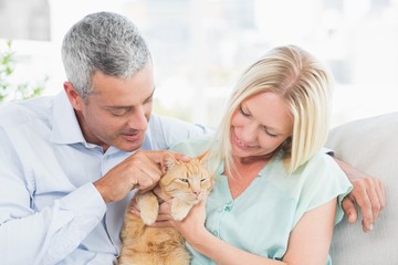 Couple playing with cat in living room