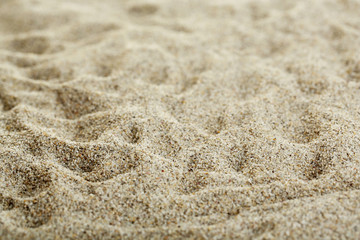 Sea sand texture