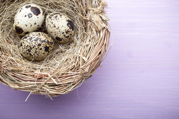 Naklejka na ściany i meble Quail eggs. Easter greeting card.