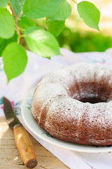 Rustic Style Bundt Cake Sprinkled with Icing Sugar