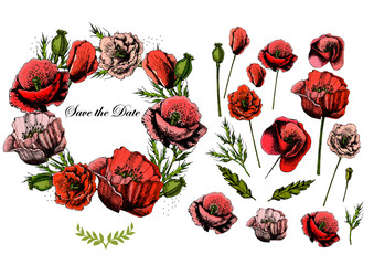 Beautiful Wedding invitation and elements with poppies. Save the