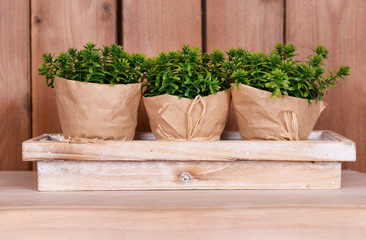 Wrapped flower pots on stand on tabletop on wooden background