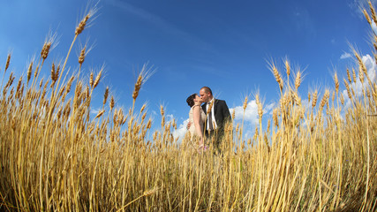 groom and bride in the fields