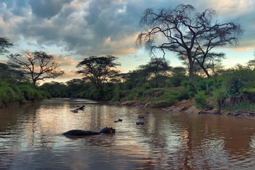 African landscape