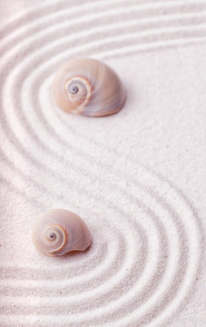 Zen garden with a wave lines in the sand with relaxing snail she