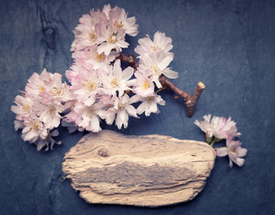 Poetic spring flowers with a piece of old timber wood on a spect