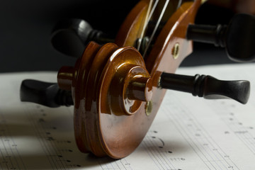 Volute et chevilles de violon
