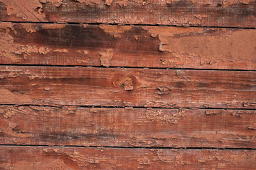Brown Wood Texture Background. Vintage and Old