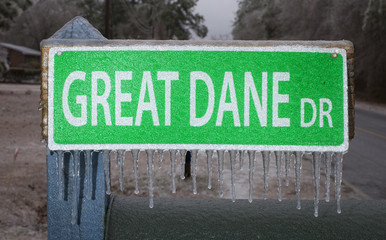 Frozen road sign