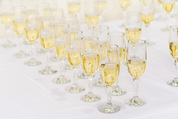 champagne glasses
