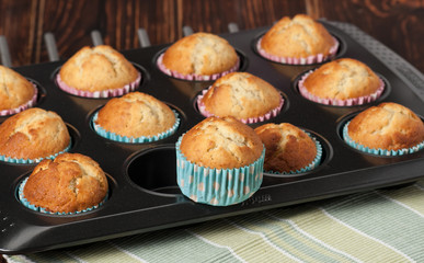 Plain Cupcakes In Baking Tray