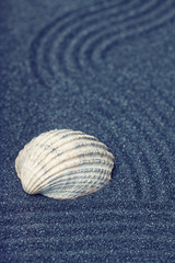A sea shell in a relaxing zen garden with black sand