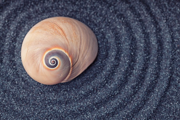 A big orange color snail shell in a zen garden with black sand