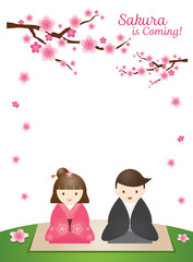 Cherry Blossoms or Sakura flowers with Japanese Couple