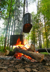 kettles on fire in wood