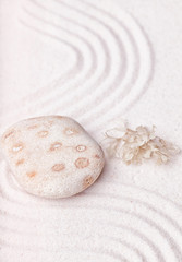 A  spotty rock and dried seaweed in the fine sand of the zen gar