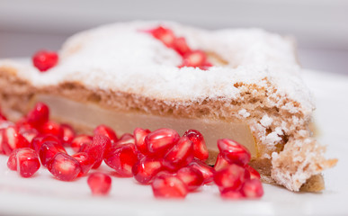 biscuit cake with icing sugar