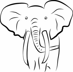 elefante