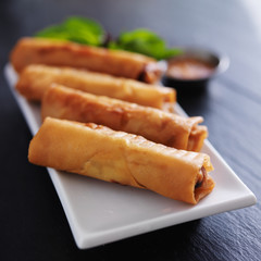 plate with vietnamese spring rolls and garnish
