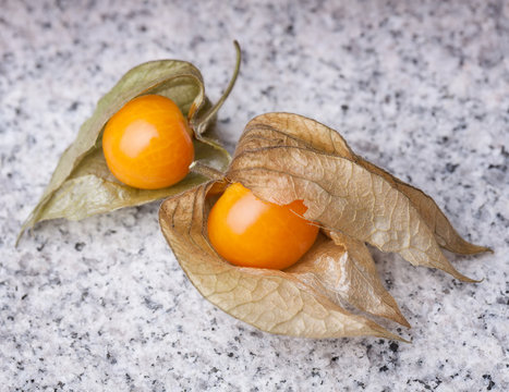 An calyx open, exposing the ripe fruit of physalis peruviana on