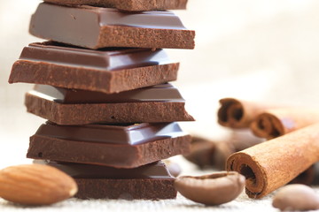 Slices of dark chocolate and spices