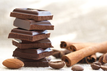 Slices of dark chocolate and spices