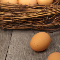 Eggs. Selective focus.