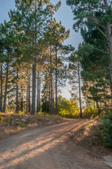 Road landscape near Sir Lowrys Pass