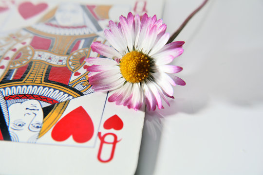 Donna di cuori