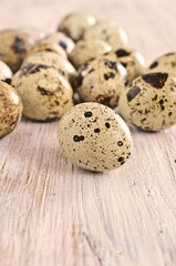 Quail eggs