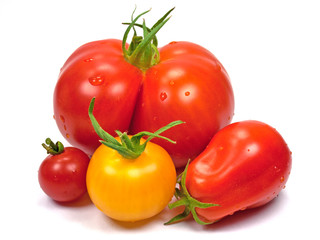 Tomaten