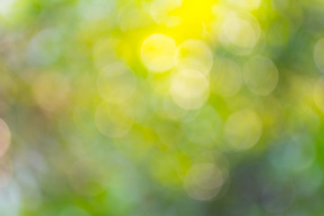 Abstract green natural bokeh background