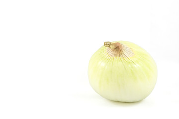 Onion on White Background