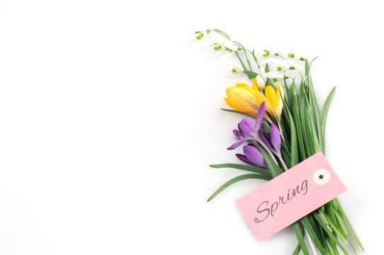 Spring Flowers and Greeting Card - Isolated on White Background