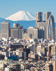 Fototapeta premium Tokyo City and Mountain Fuji in Japan