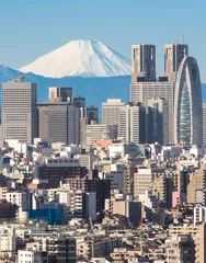 Poster Tokyo City und Berg Fuji in Japan © jiratto