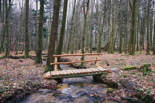 Wooden Bridge Over Forest Brook