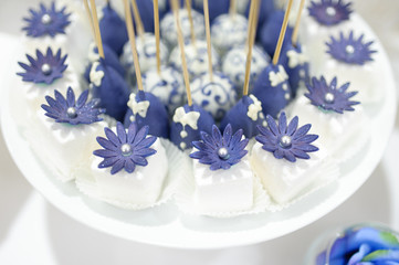 wedding dessert with delicious Cake pops