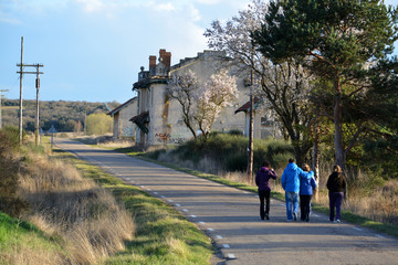 caminando por una carretera