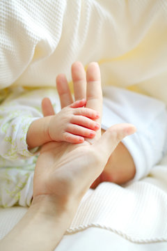 parental hand holds palm of baby