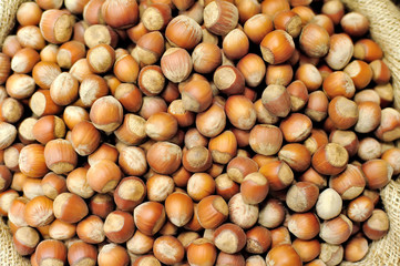 hazelnuts