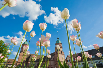 Fototapete bei efototapeten.de bestellen   