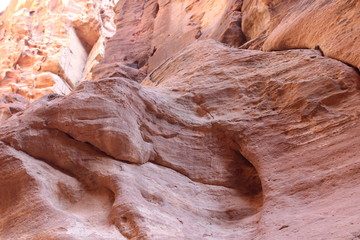 Причудливые формы розовых скал каньона